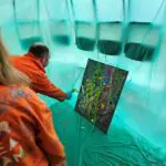 Thumbnail of http://Action%20painting%20workshop%20den%20haag