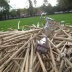 Thumbnail of http://img