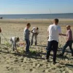 Thumbnail of http://img