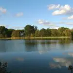 Thumbnail of http://img