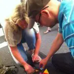 Thumbnail of http://img