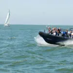 Thumbnail of http://img