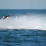 Thumbnail of http://img