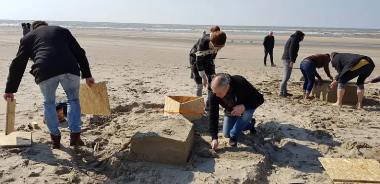 Zandsculpturen Bouwen