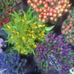 Thumbnail of http://img