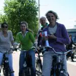 Thumbnail of http://img