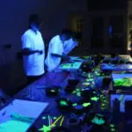 Thumbnail of 