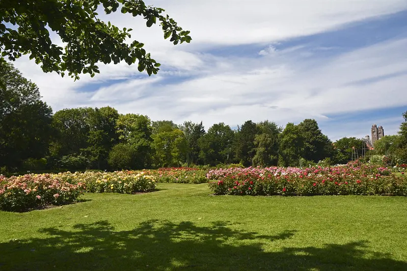 Rozentuin in het Westbroekpark