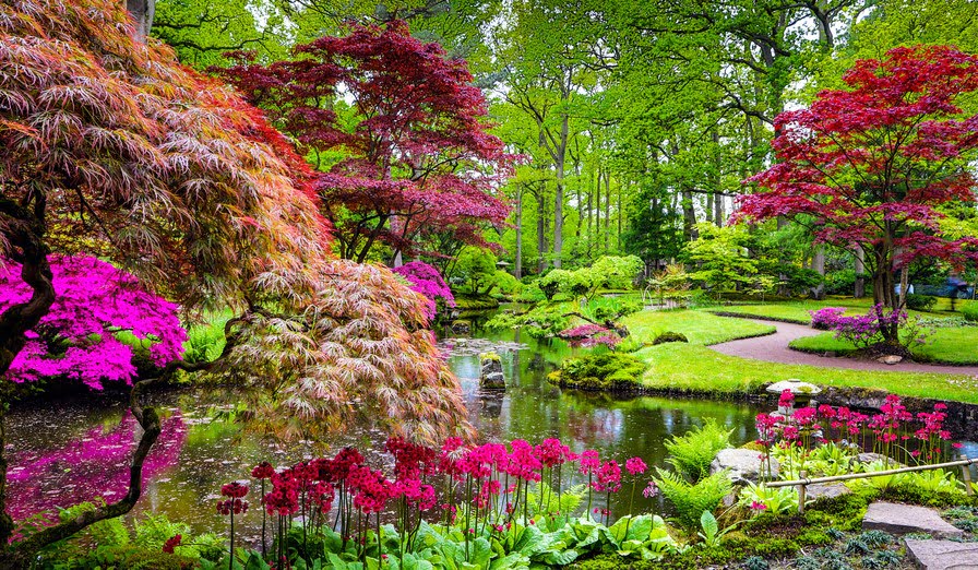 Japanse tuin op Landgoed Clingendael
